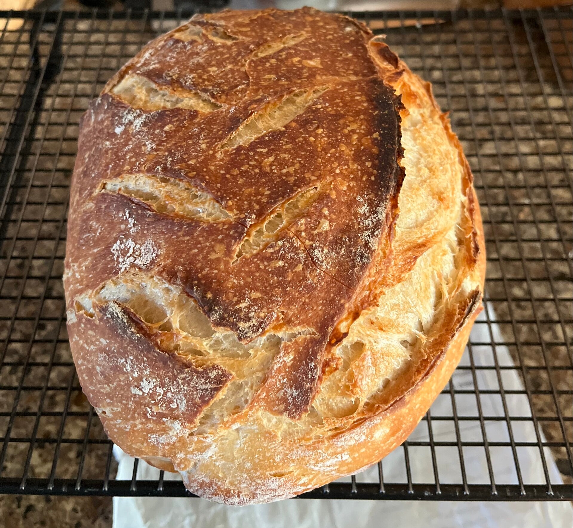 Sourdough Loaf