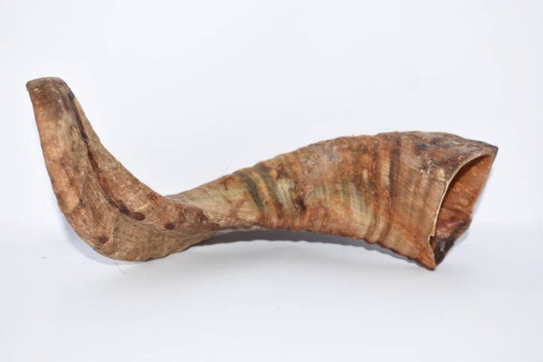 Ramshoorn Klein / Groot