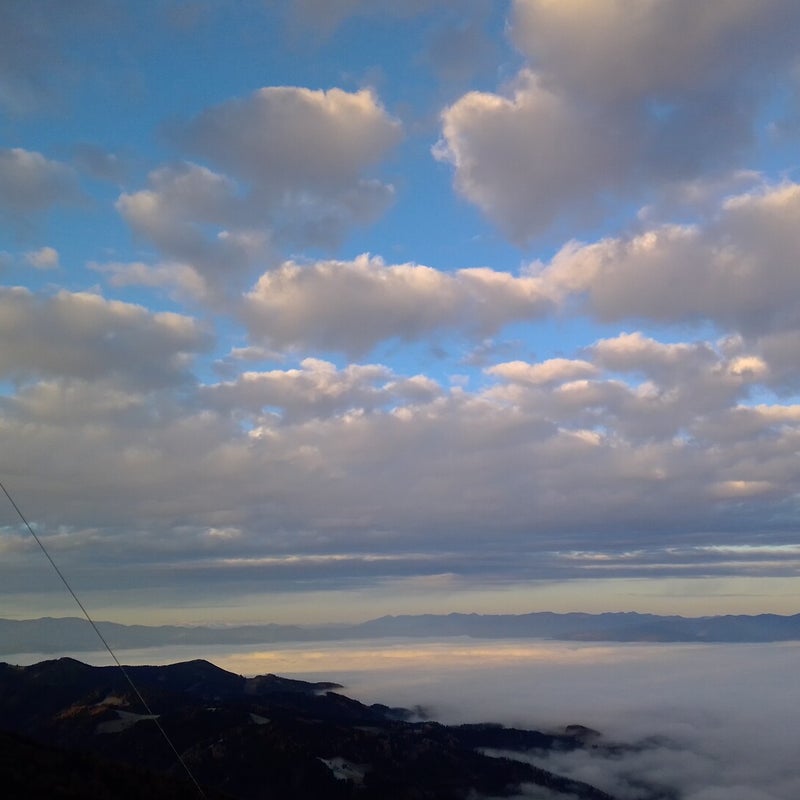 img_20201112_073637-standard.jpg