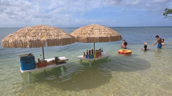 Excursion Grand cul sac marin  / Mangrove/ Gosier Guadeloupe