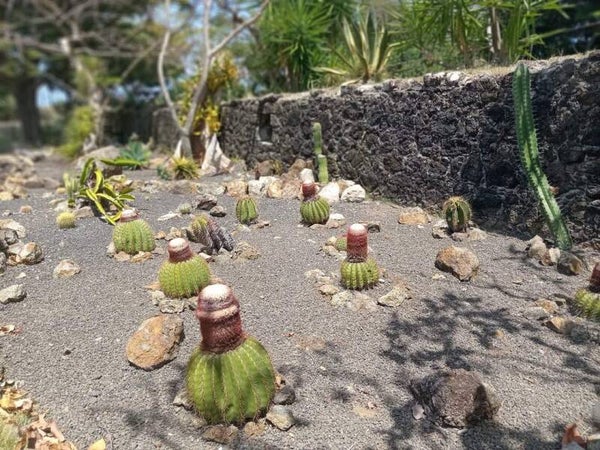Excursion Guadeloupe Désirade
