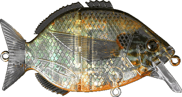 Fishus Esparrall 76mm Translucide Pompoenzaad 16gr