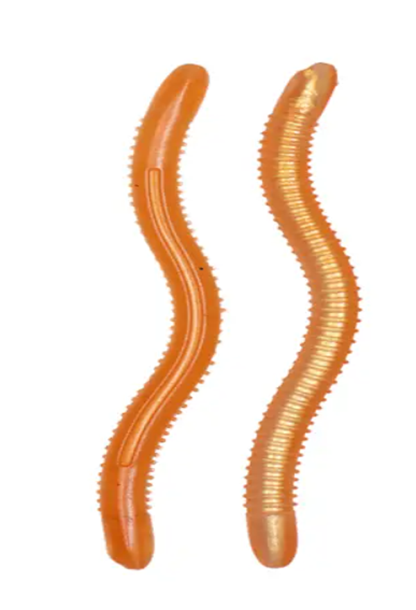 Toppies Fishing - Wormius - 9.5 cm - 8 st moccachino