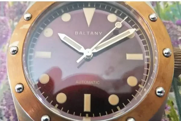 Baltany Bronze Bezel Vintage Watch Seiko NH38 Auto Mechanical Movement