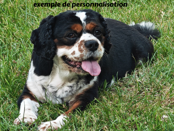 magnets à personnalisé