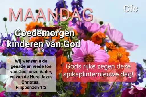 63da06c514c82_blije-bloemen-website-standard.webp