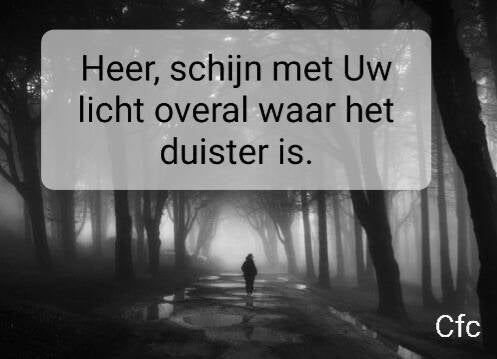 duister.jpg