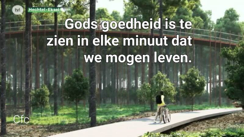 fietsendoordebomen.jpg