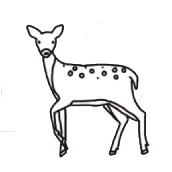 Nara Park met herten