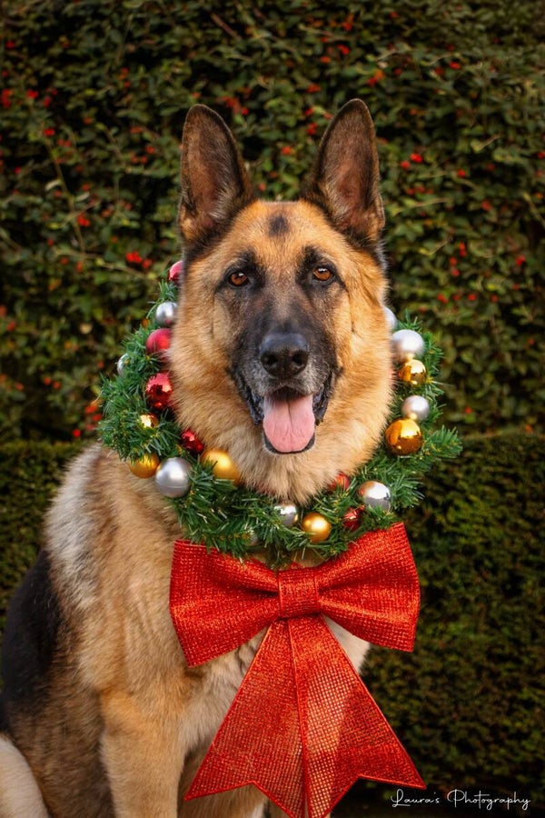 Kerstkaartjes (10x)