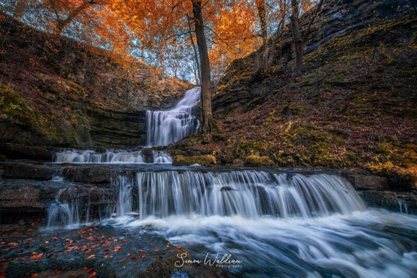Scaleber force falls