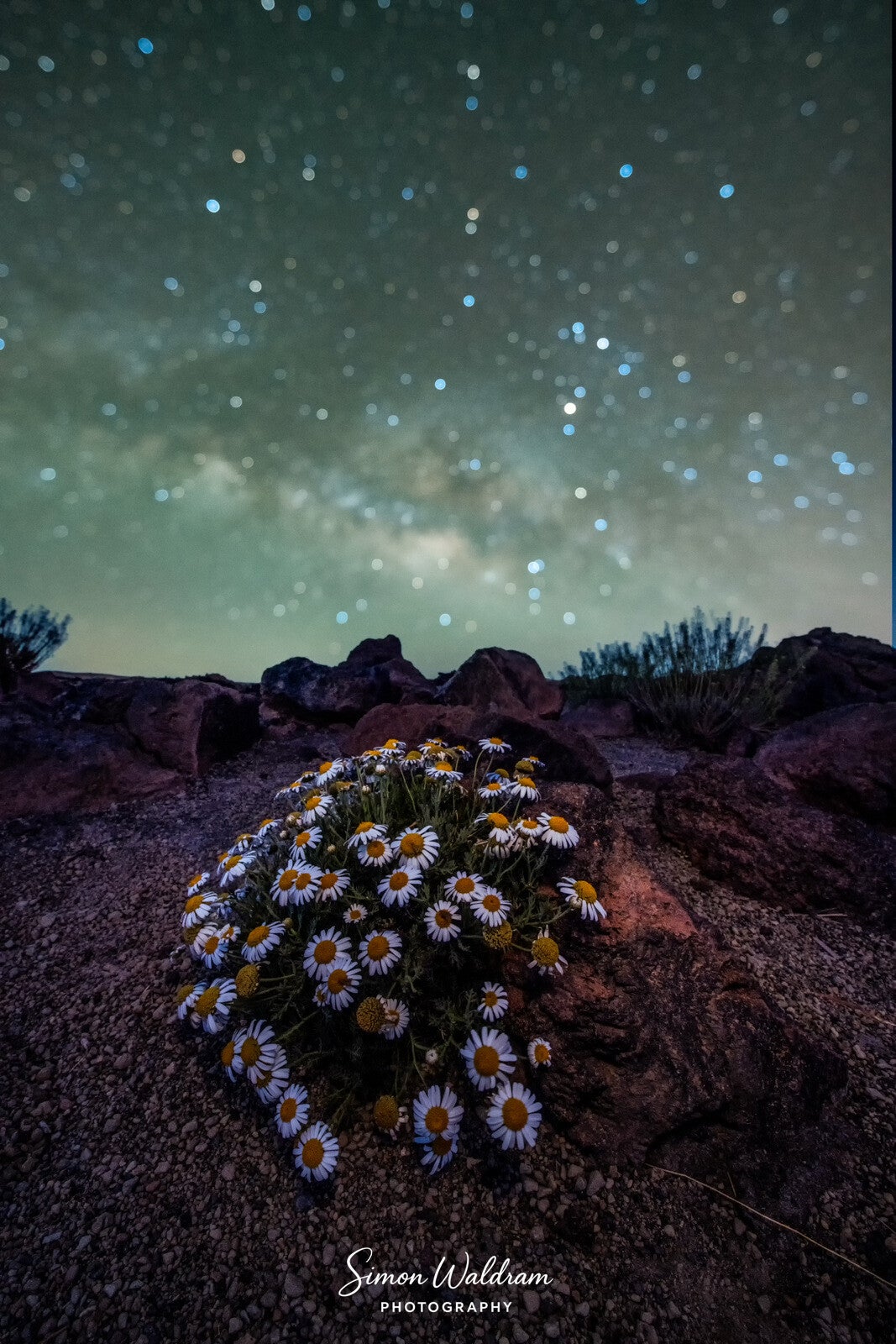 TENERIFE ASTRO PHOTOGRAPHY WORKSHOP 27th April to 2nd May 2027