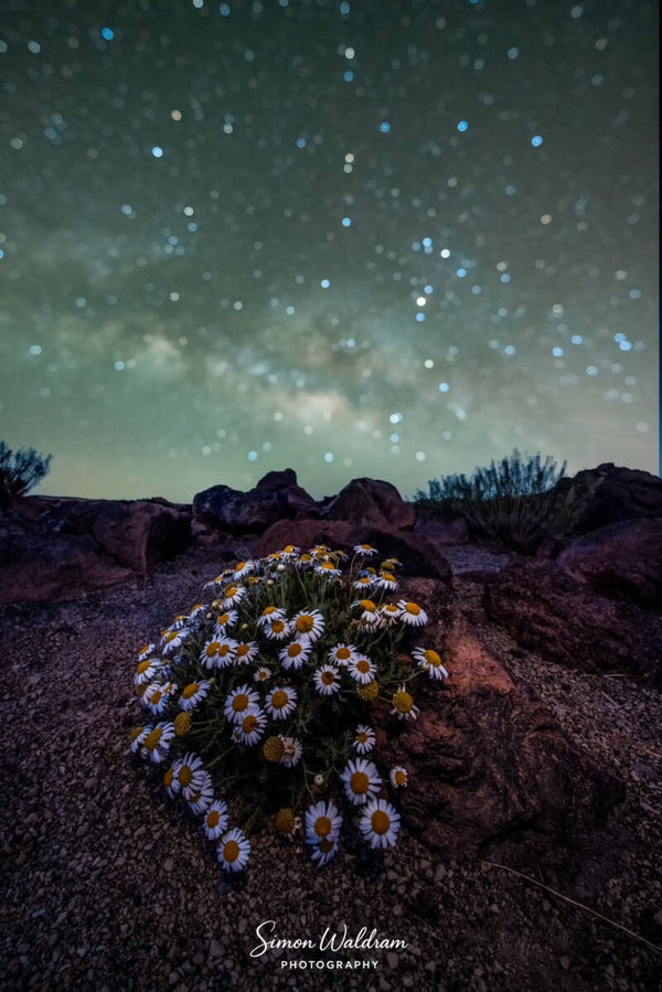TENERIFE ASTRO PHOTOGRAPHY WORKSHOP 27th April to 2nd May 2027