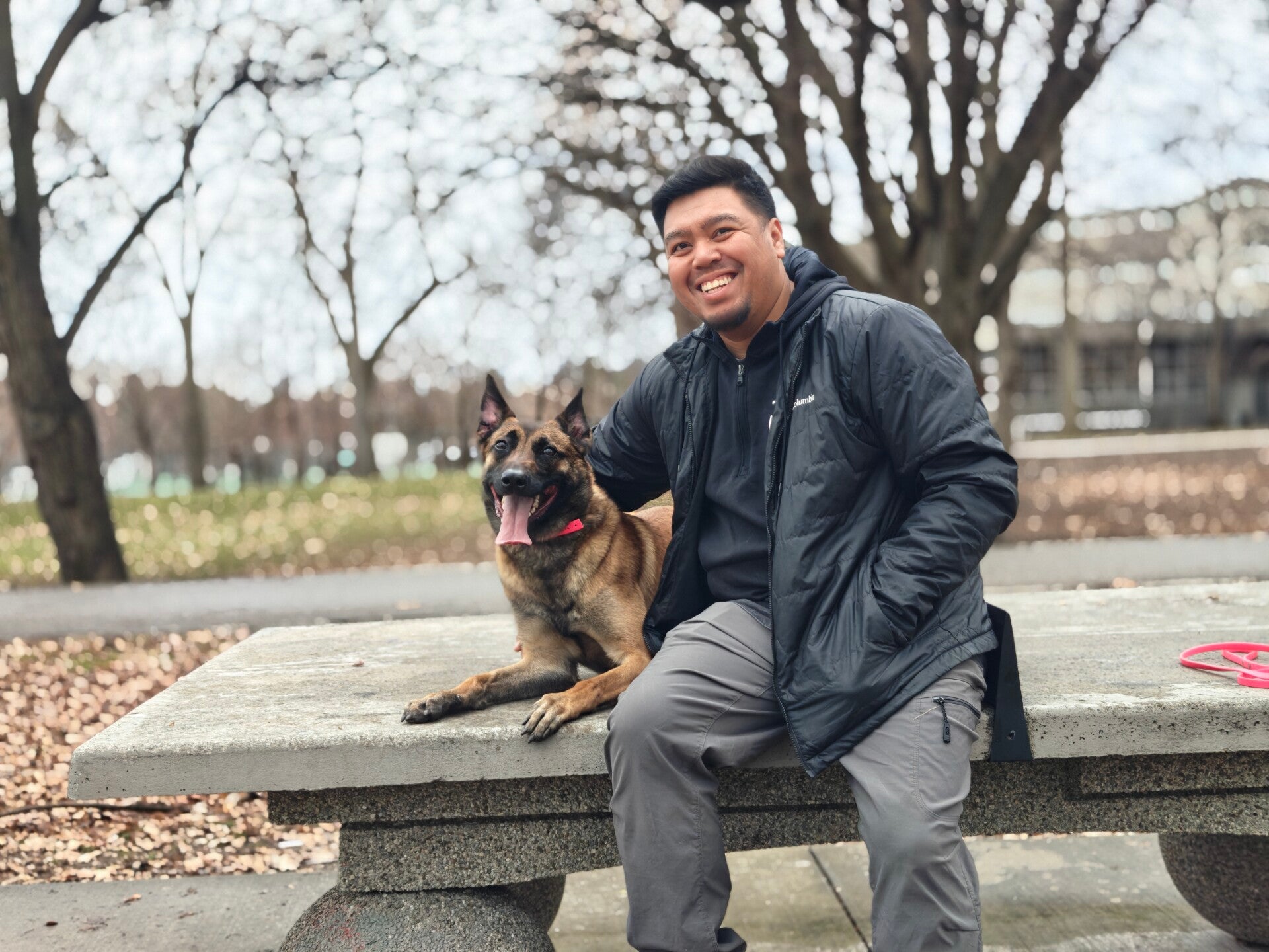 Dog training East york 