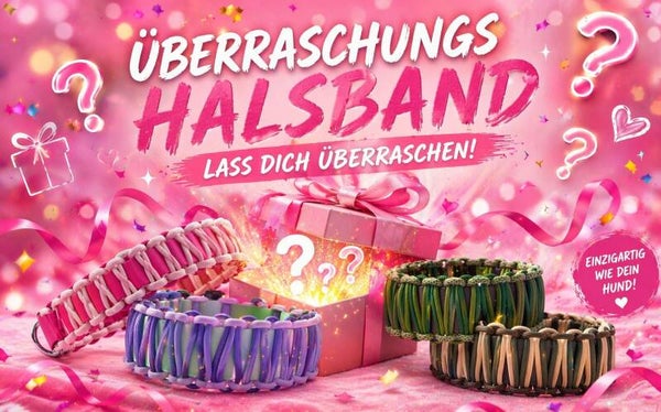 Halsband Arcana ( ÜBERRASCHUNG ) 🌟