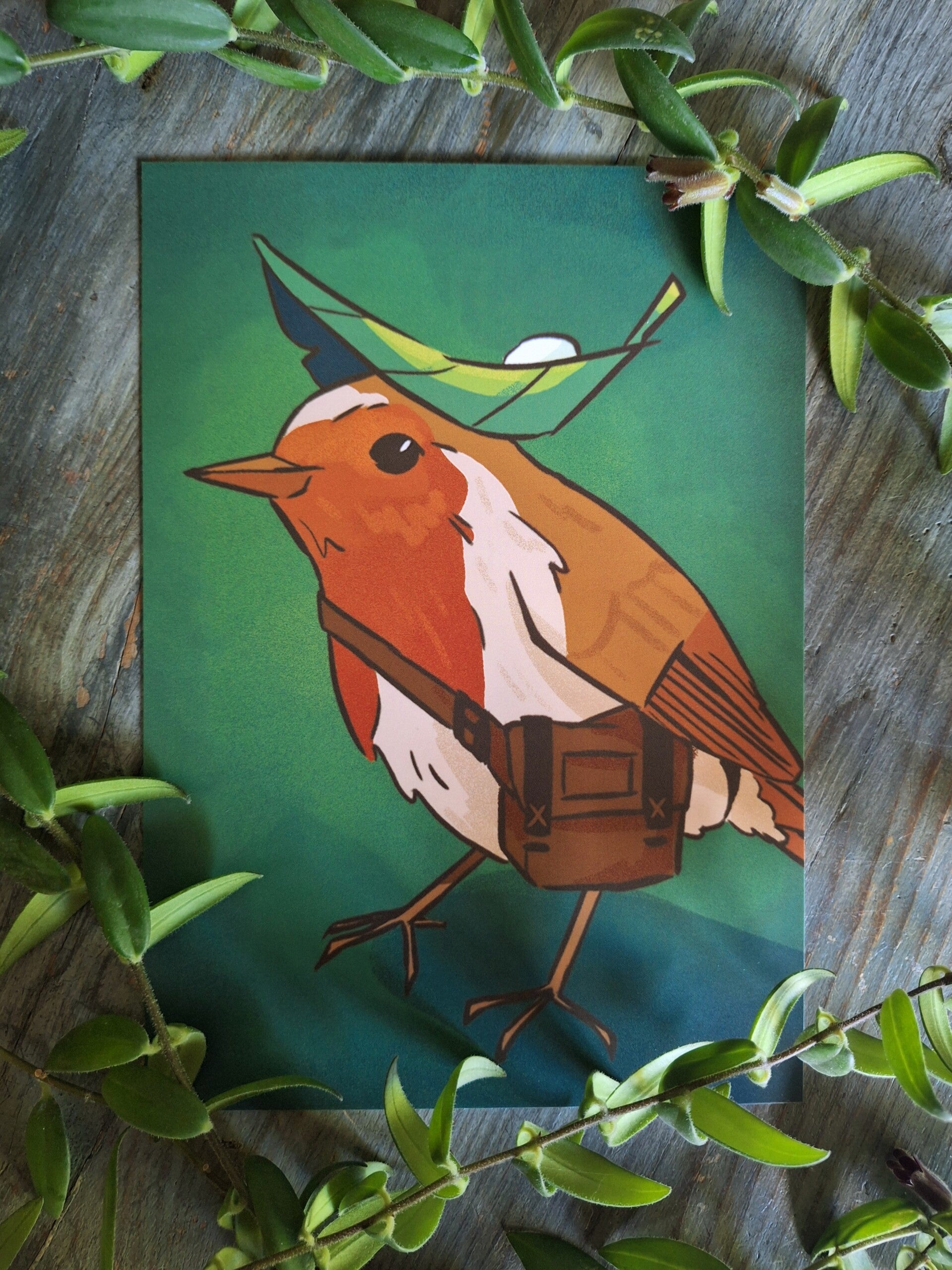 Roodborstje - A5 print