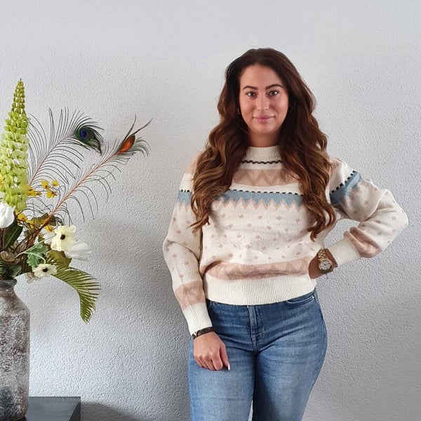Trui Beige Zig/Zag Ronde Hals