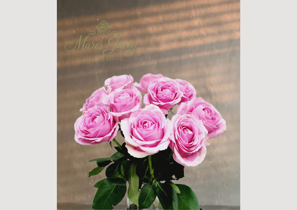Blush Pink Rose Bouquet
