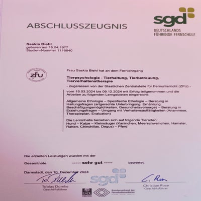 1000003191-standard.jpg