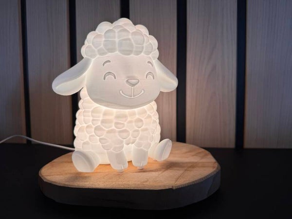 Schaap met lichtje
