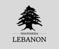 Shawarma Lebanon