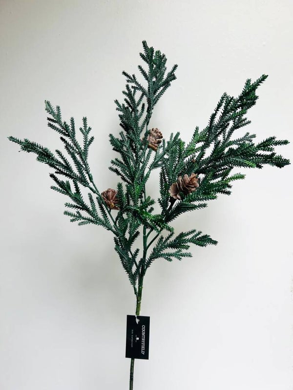 Dennentak met dennenappels