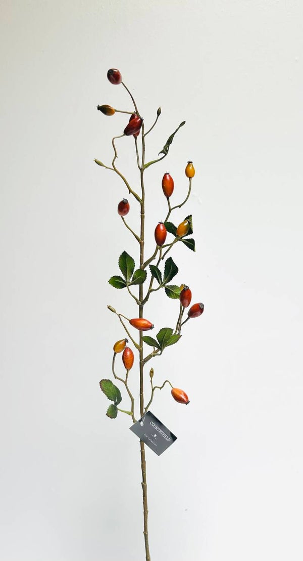 Rozenbottel tak lang