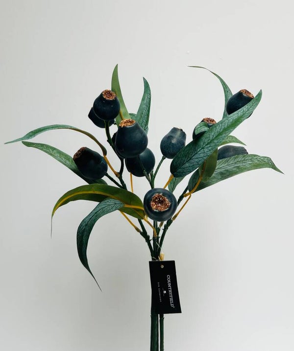 Bosje eucalyptus met bes