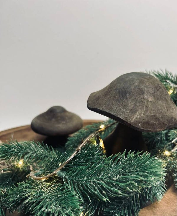 Paddenstoelen uit Indonesië