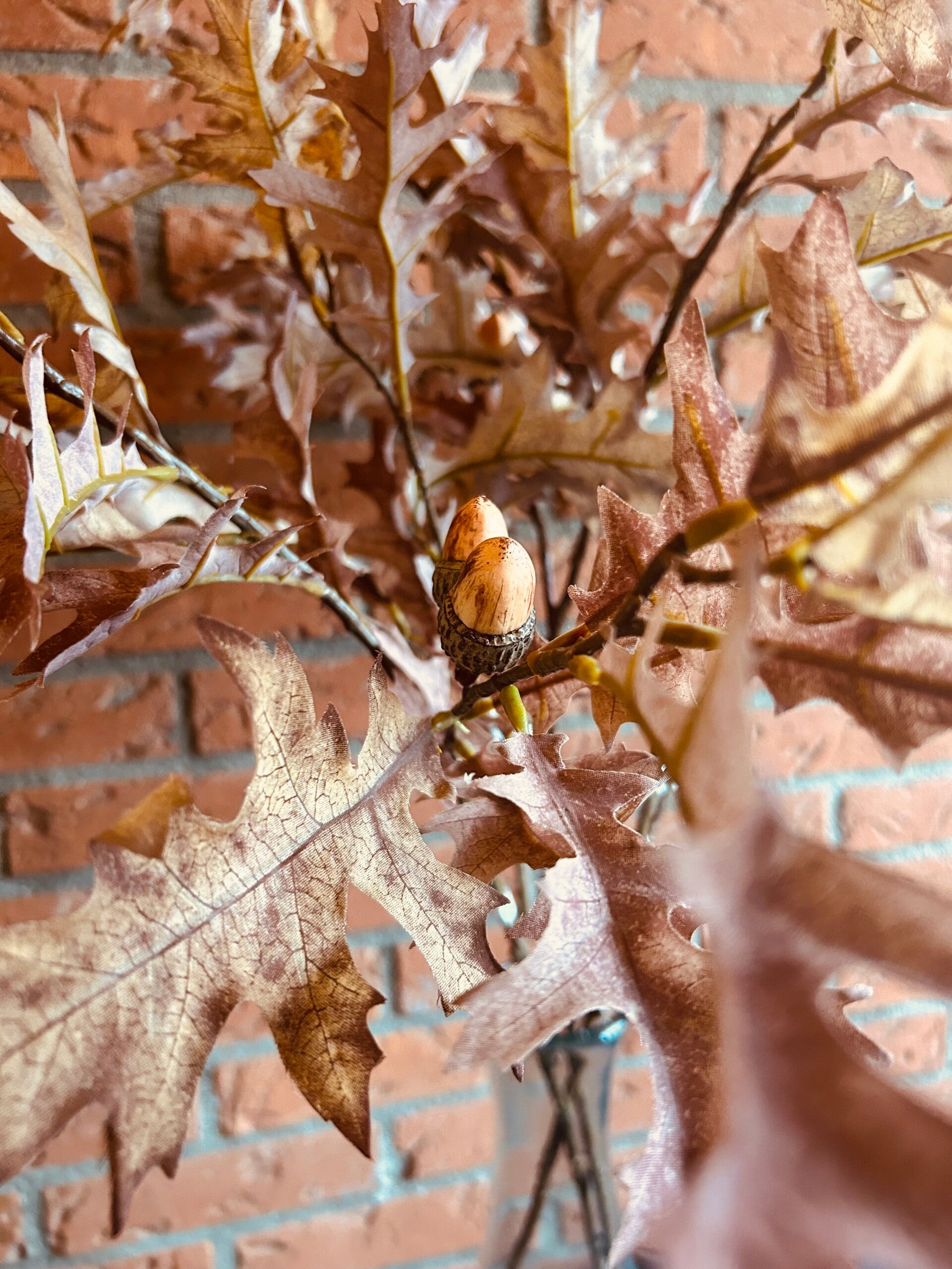 Herfsttak
