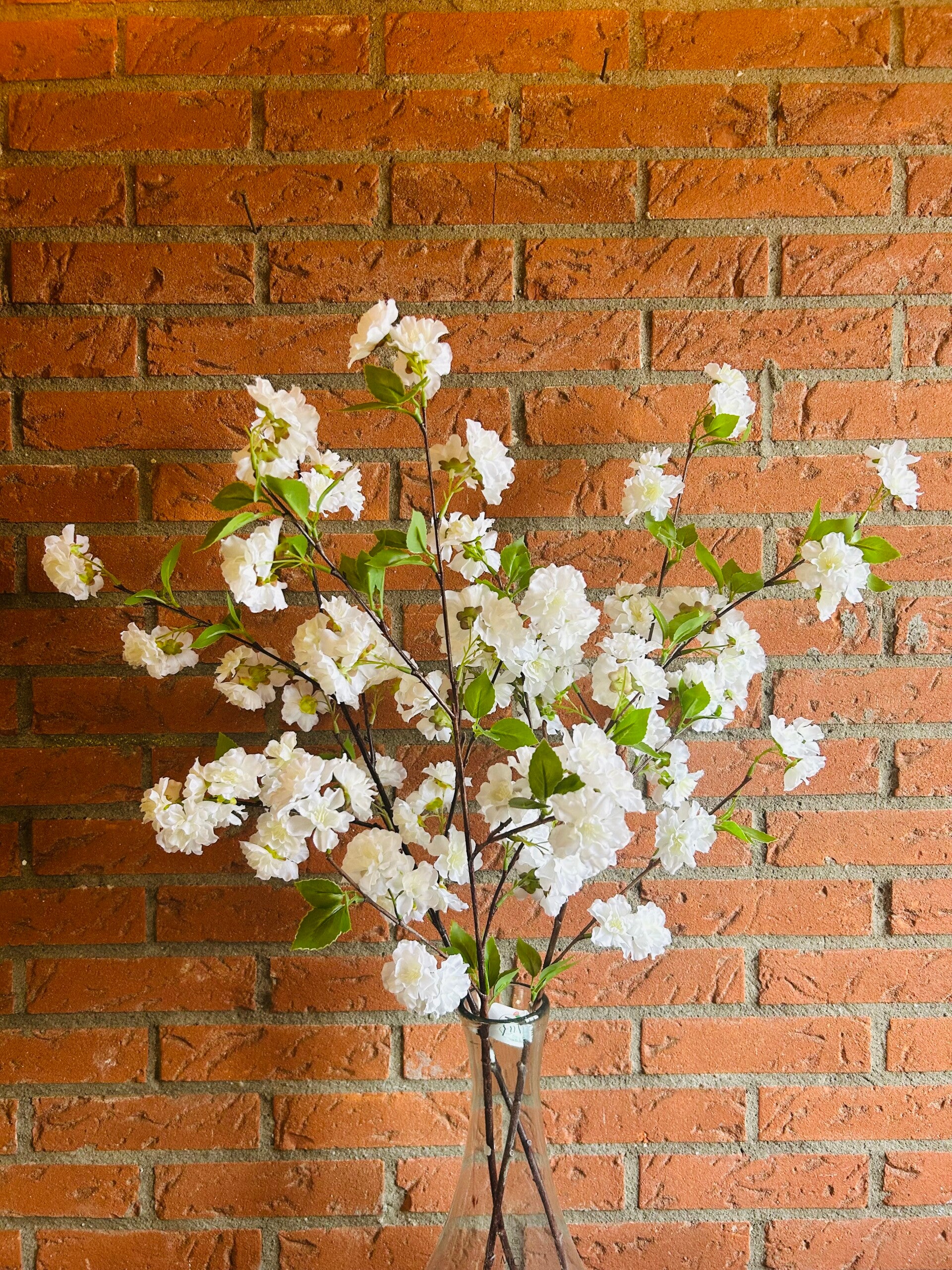 Bloesemtak wit