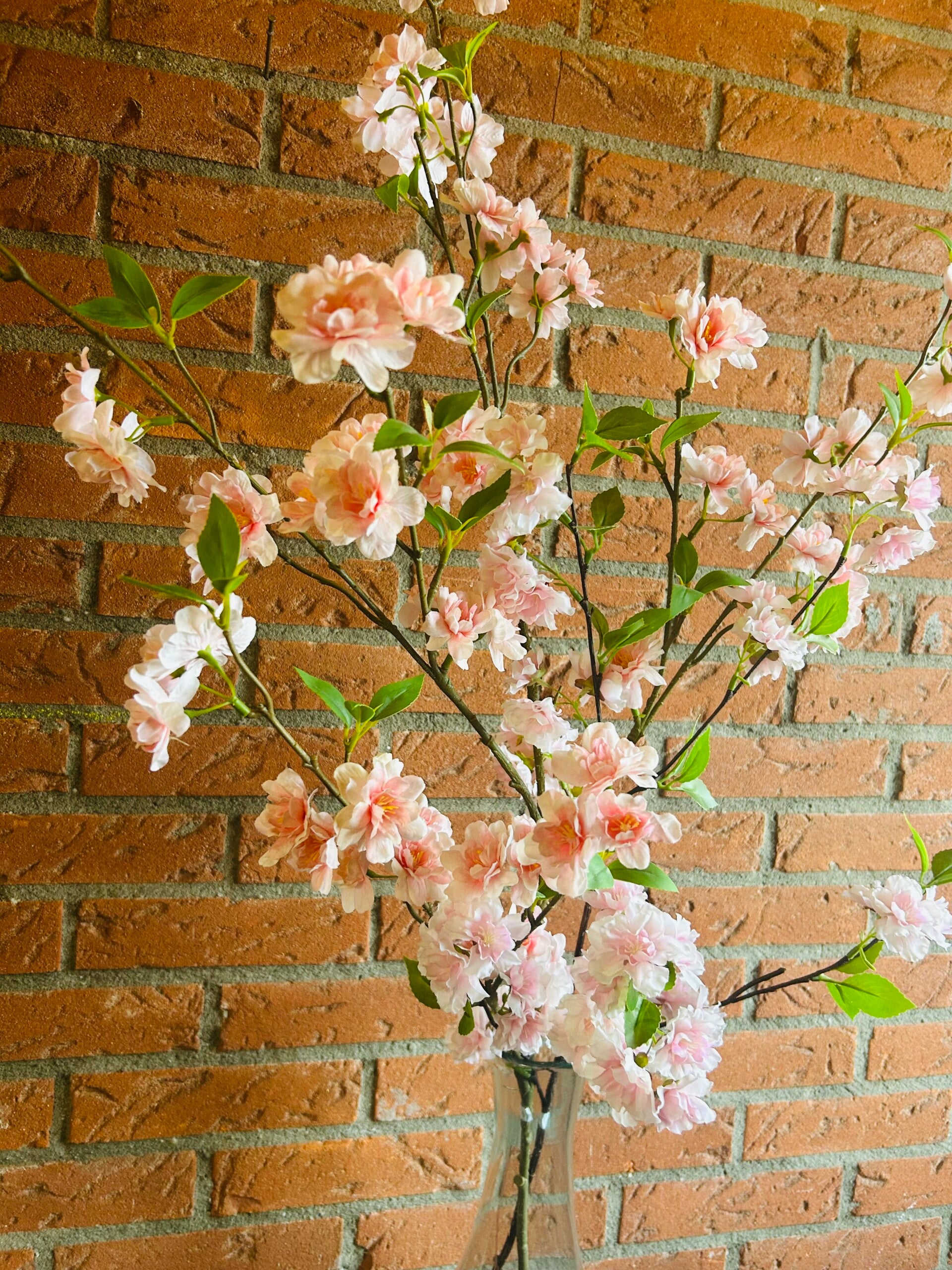 Bloesemtak roze