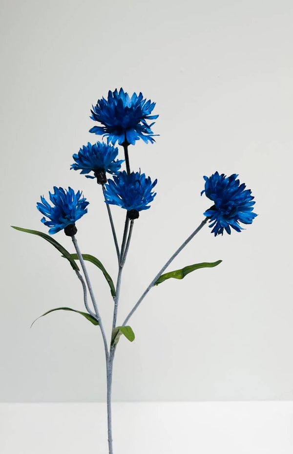 Korenbloem donker blauw