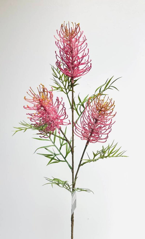 Grevillea roze