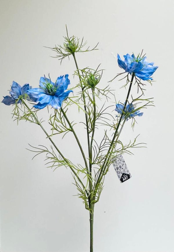 Nigella blue