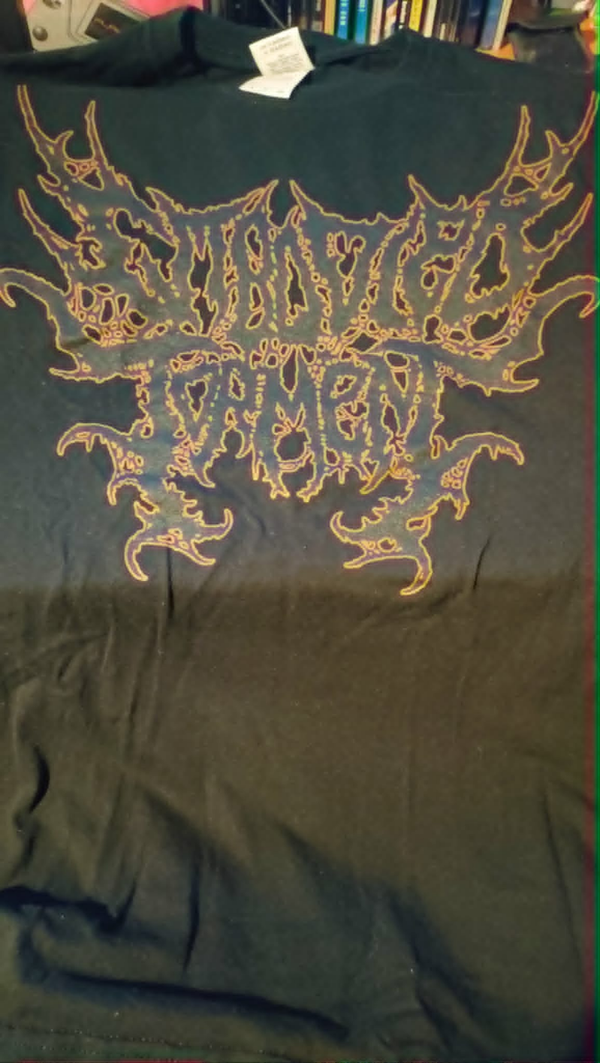 Embodied Torment