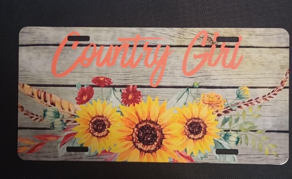 Decorative License Plate