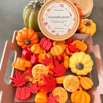 fondants parfumés en cire végétale senteur "citrouille givrée" en forme de citrouilles, feuilles et biscuits. Box de 100g , collection automne. M'créa bougies