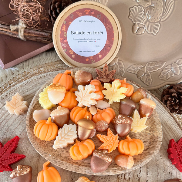 Fondants parfumés "Balade en forêt"