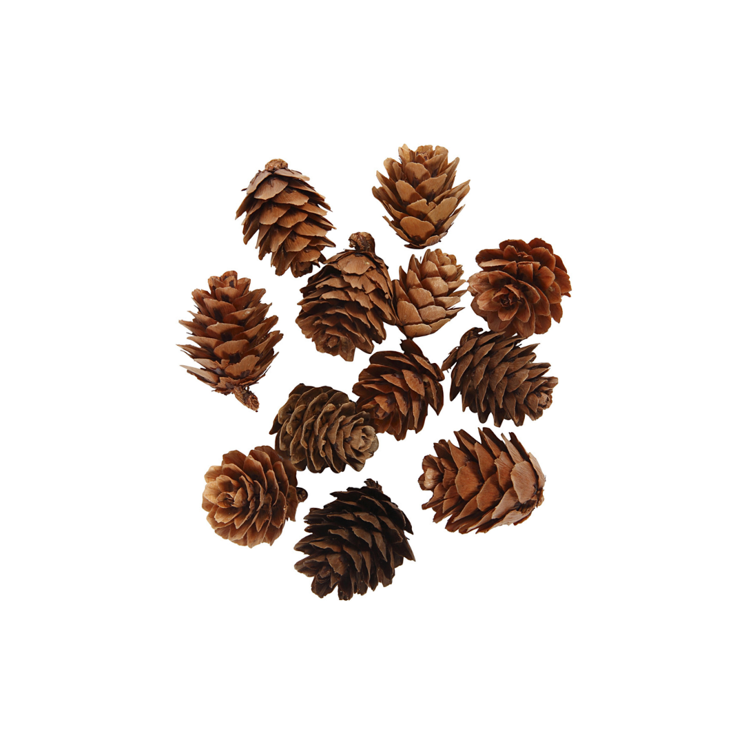 Decoratie | Dennenappeltjes | 5 Gram