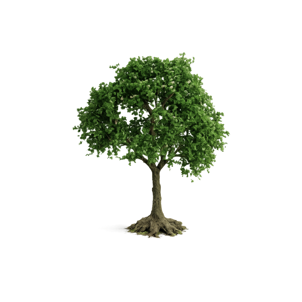 Decoratie | Groene Boom | Candle Cocktail®