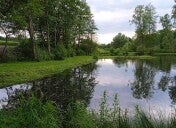 Angelkarte in der Woche Teich 1 9:00-16:00Uhr