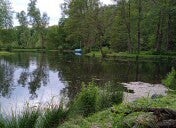 Angeln 50+ ( jeden 2. Freitag im Monat ) am Teich 1