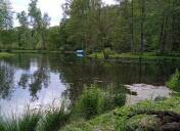 Angeln 50+ ( jeden 2. Freitag im Monat ) am Teich 1