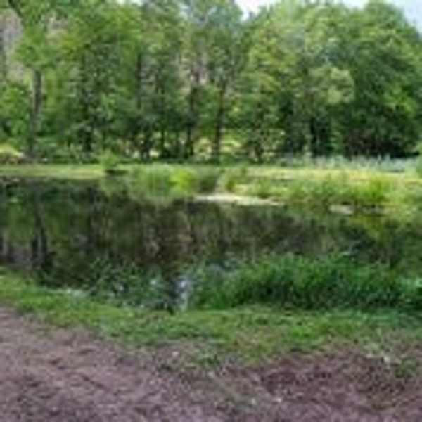 Teich 2 Tagesmiete