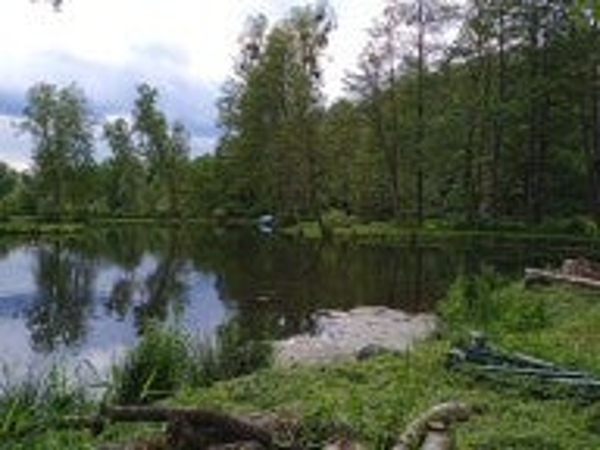 Angelkarte für das 24 Stunden Angel am Teich 1 27.06.26 8:00 Uhr bis 8:00 Uhr 28.06.26