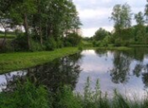 Die Feierabend Karte für Teich 1  (14:00-17:30 Uhr)
