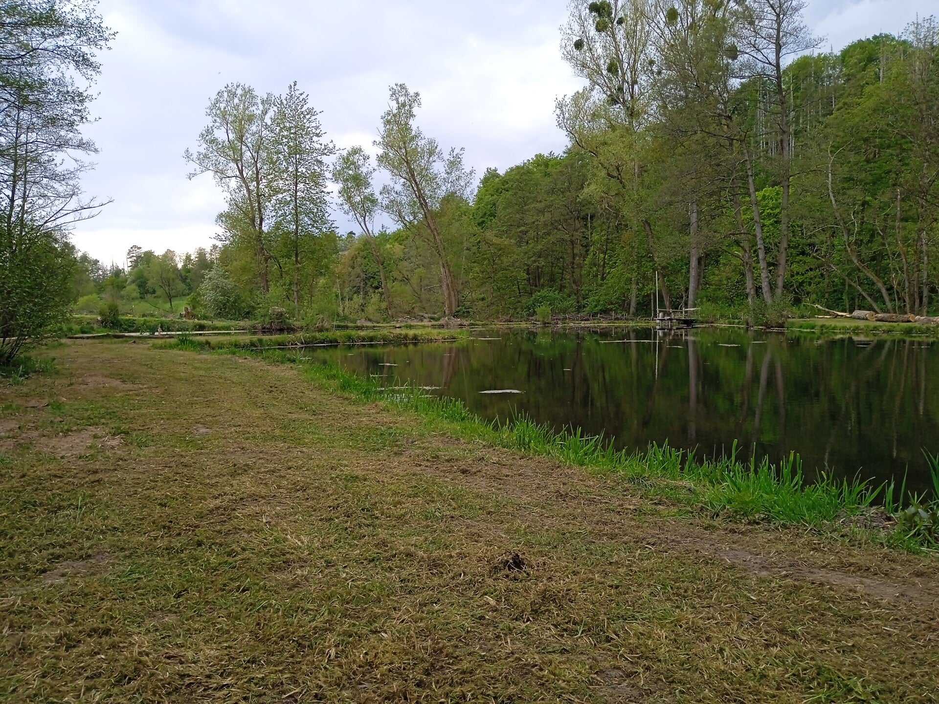 Teich 1 die Insel mit Grillplatz 2