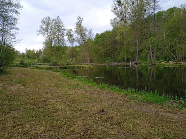 Teich 1 die Insel mit Grillplatz 2