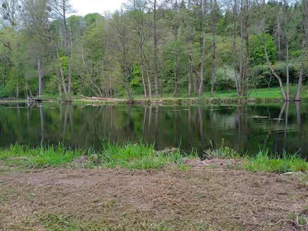 Teich 1 Nachtangelkarte 18:00-6:00 Uhr